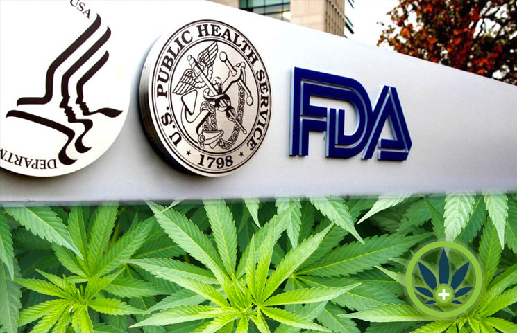 FDA and CBD regulation